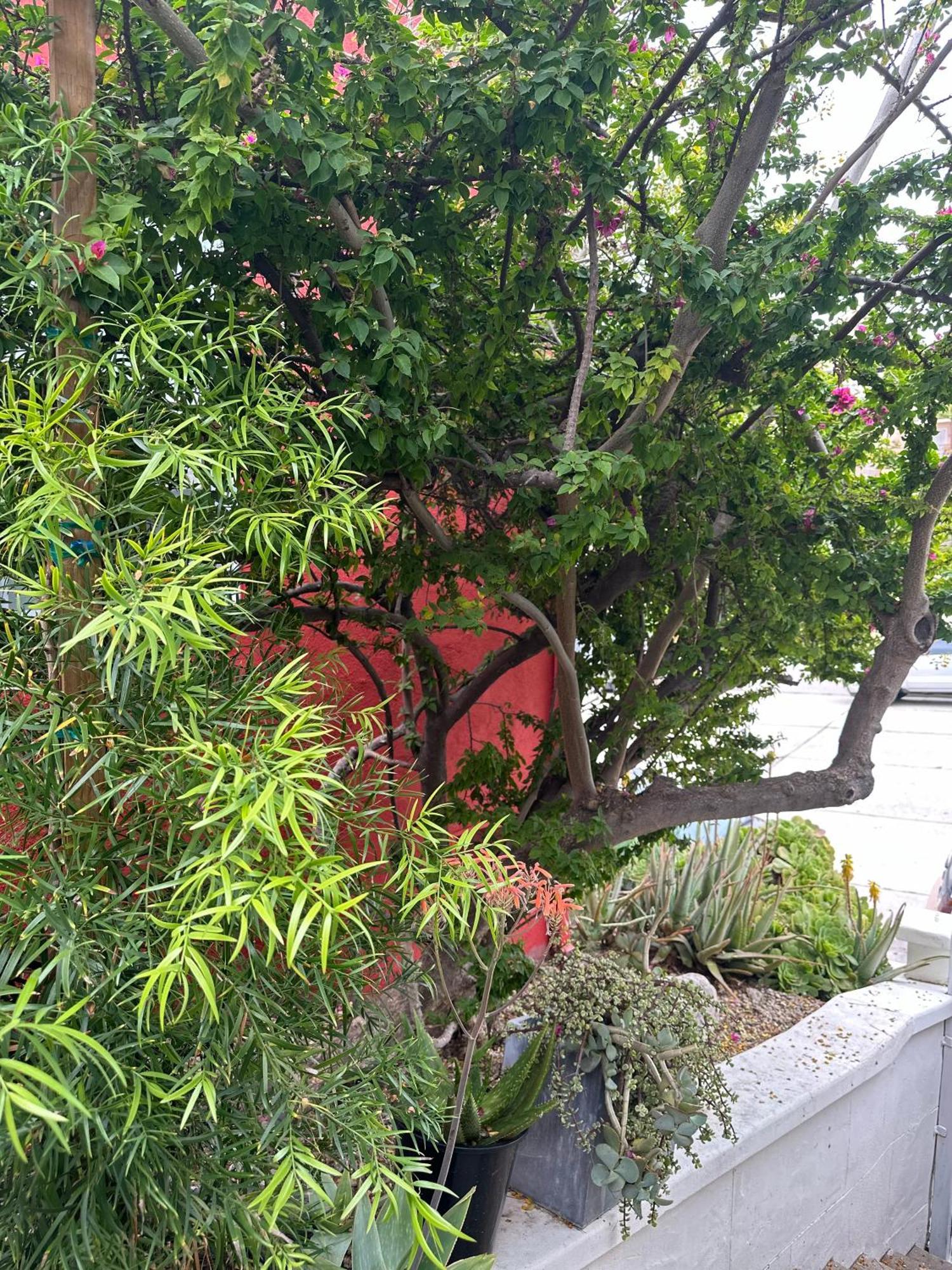 Modern, Remodeled Echo Park House-Walk To Sunset Blvd, Dodgers Stadium, Shops, Bars, Restaurants, Lake, Concerts Los Angeles Exterior photo